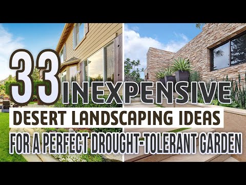 Affordable Ideas for Desert Landscaping