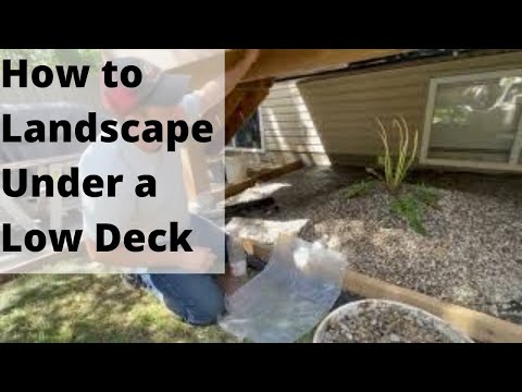 Ideas for Landscaping Under Your Deck
