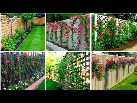 Ideas for Enhancing Your Landscape with a Fence Line