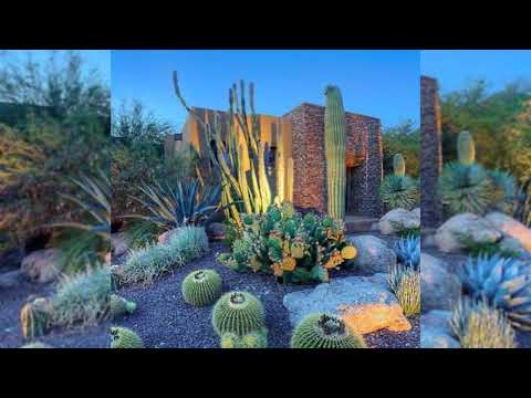 Affordable Ideas for Desert Landscaping