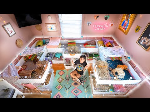 Ideas for Creating a C&C Cage