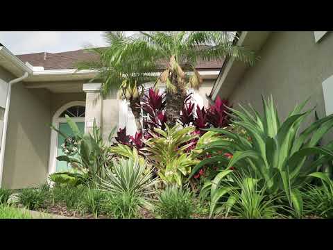 Ideas for Landscaping in North Florida