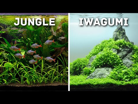 Creative Aquascaping Ideas for Your Aquarium