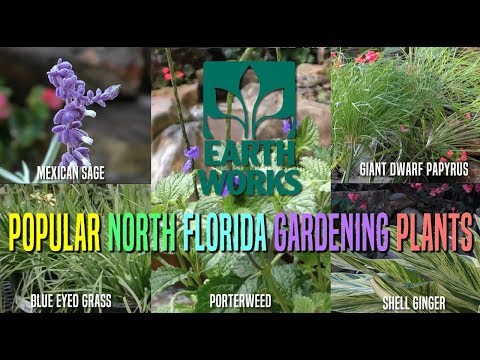 Ideas for Landscaping in North Florida