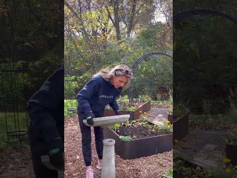 Ideas for Creating a Beautiful Garden with a Bird Bath