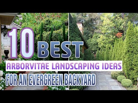 Landscaping Ideas for Arborvitae