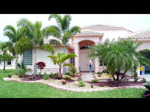 Front Yard Landscaping Ideas: Incorporating Palm Trees