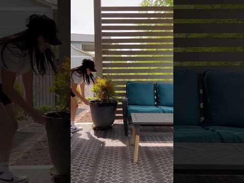 Ideas for Creating Privacy on Your Lanai