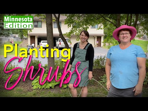 Ideas for Landscaping in Minnesota