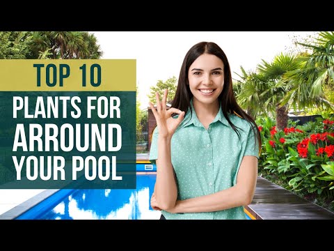 Ideas for Pool Lanai Design