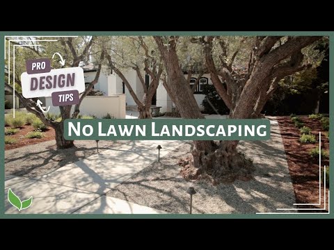 Ideas for Xeriscaping Your Front Yard