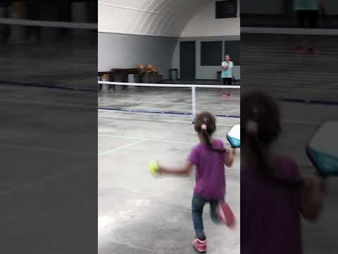 Creative Ideas for Hosting an Epic Pickleball Party