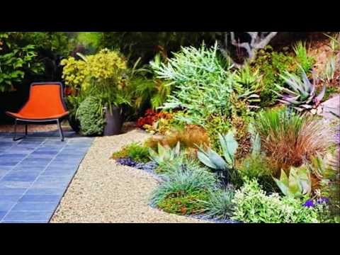 Ideas for Landscaping Front Yards in Southern California