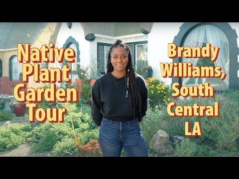 Ideas for Landscaping in Southern California