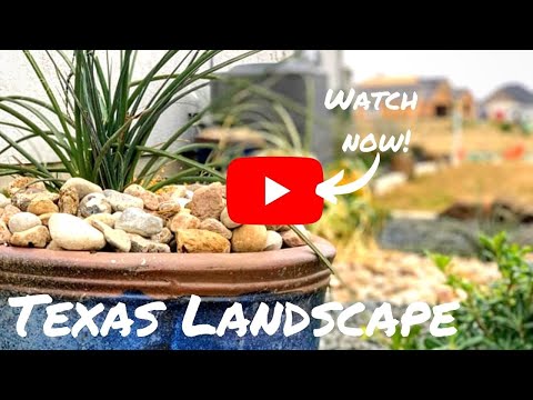 Ideas for Landscaping in Texas