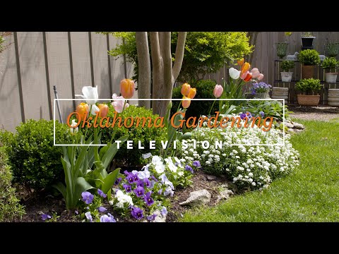 Creative Landscaping Ideas for Your Oklahoma Yard