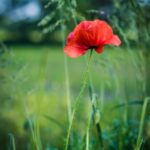 vertical siding ideas