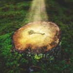 unique catering ideas